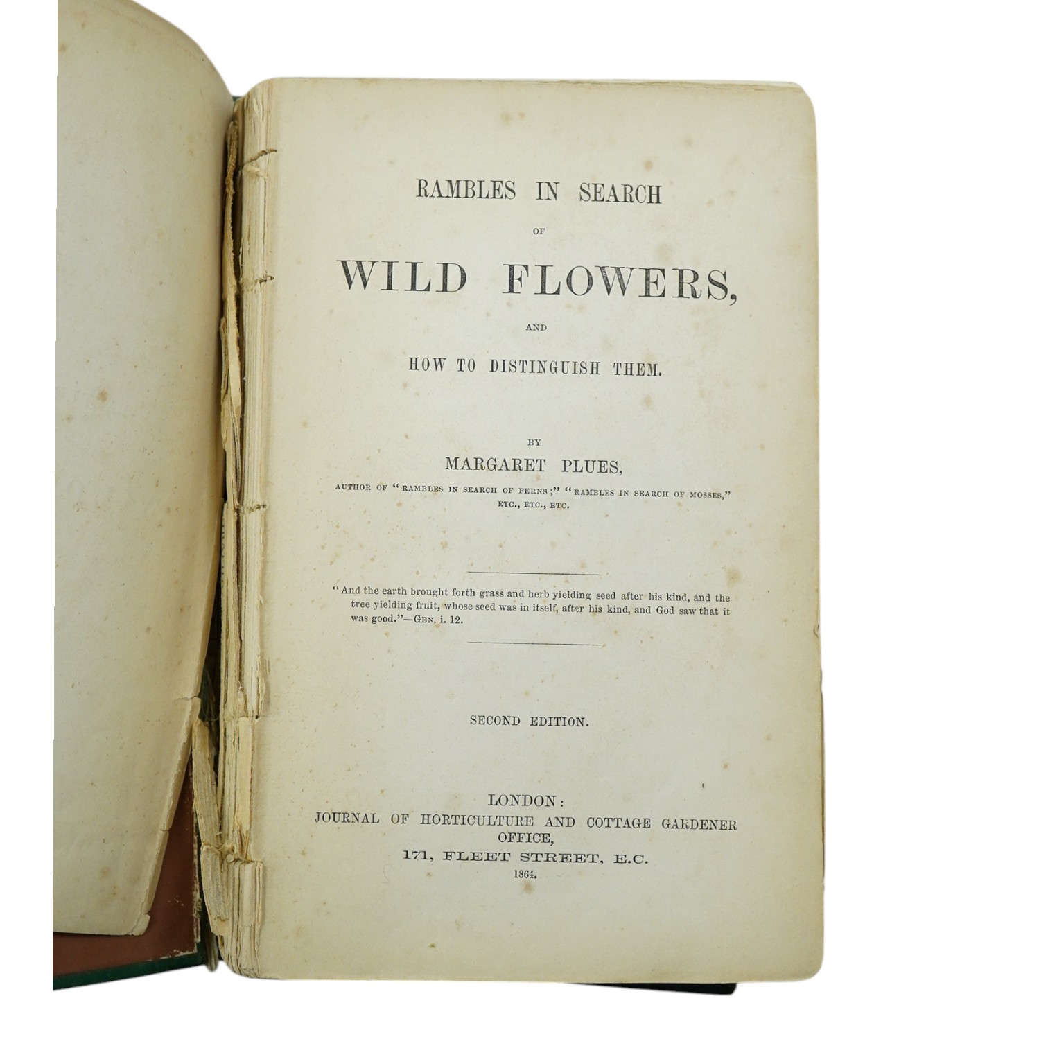 Rambles In Search of Wild Flowers and How to Distinguish Them, by Margaret Plues, second edition